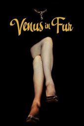 Venus in Fur (2013)