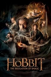 The Hobbit: The Desolation of Smaug (2013)