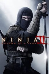 Ninja: Shadow of a Tear (2013)