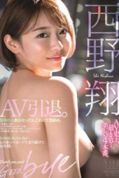 STARS-219 Nishino Shou AV Retirement