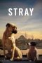 Stray (2020)