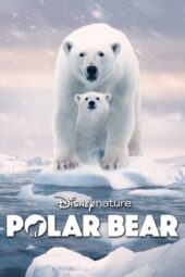 Polar Bear (2022)