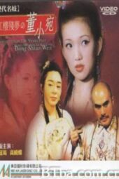 Broken Dreams in the Red Tower Dong Shiao Wen (1993)