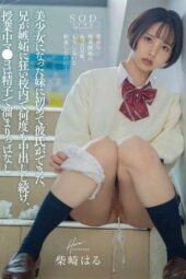 START-084 My younger beautiful sister, got her first Boyfriend. Older Brother went crazy with jealousy and filled her with Sperm. Haru Shibasaki