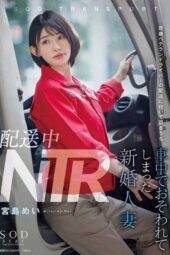 START-156 NTR during delivery. A newlywed wife who was attacked in the truck while accompanying a veteran married delivery driver during his rounds. Mei Miyajima